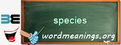 WordMeaning blackboard for species